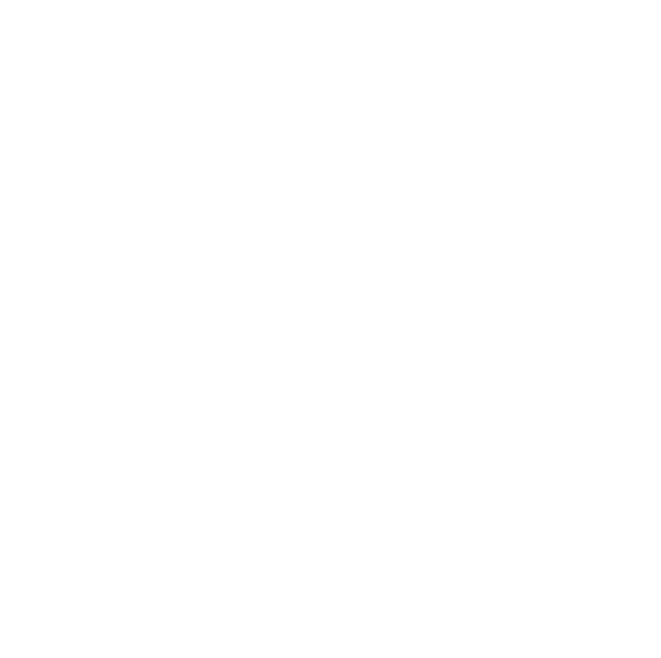 logo_centrale